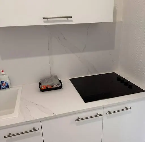 Gros Horloge - Coeur De Appartement